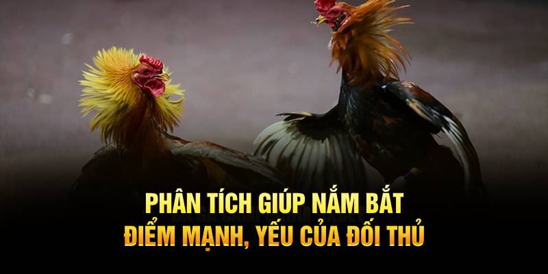 Phân tích giúp nắm bắt điểm mạnh, yếu của đối thủ